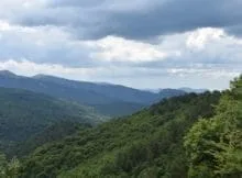 Relict grove of Crimea - Yew gorge 70 - word-info