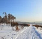 Borders of Siberia 87 - word-info