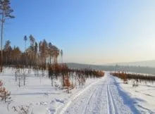 Borders of Siberia 52 - word-info